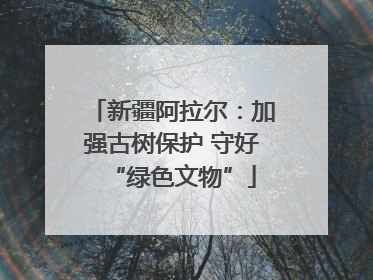 新疆阿拉尔：加强古树保护 守好“绿色文物”