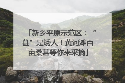 新乡平原示范区：“葚”是诱人！黄河滩百亩桑葚等你来采摘