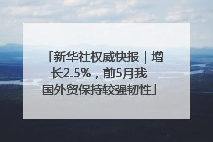 新华社权威快报｜增长2.5%，前5月我国外贸保持较强韧性