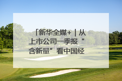 新华全媒+｜从上市公司一季报“含新量”看中国经济发展向“新”