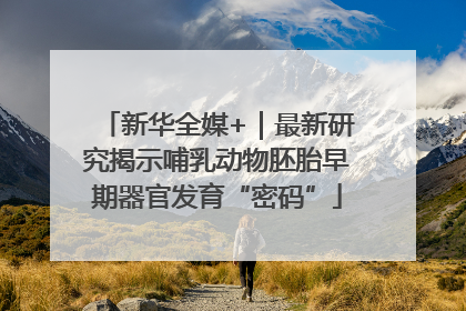 新华全媒+｜最新研究揭示哺乳动物胚胎早期器官发育“密码”