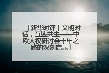 新华时评丨文明对话，互鉴共生——中欧人权研讨会十年之路的深刻启示