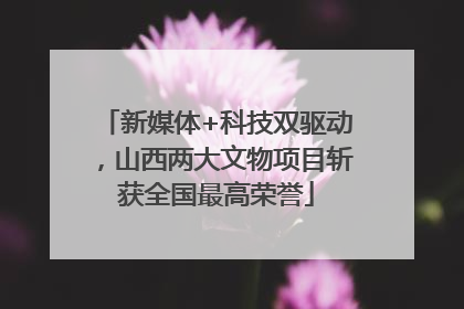 新媒体+科技双驱动，山西两大文物项目斩获全国最高荣誉