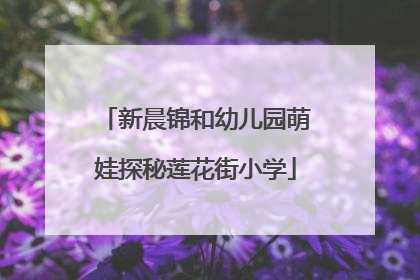新晨锦和幼儿园萌娃探秘莲花街小学