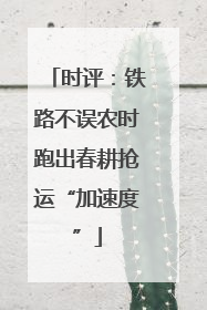 时评：铁路不误农时跑出春耕抢运“加速度”