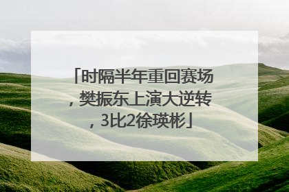 时隔半年重回赛场，樊振东上演大逆转，3比2徐瑛彬