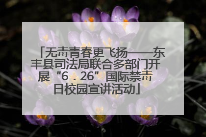 无毒青春更飞扬——东丰县司法局联合多部门开展“6．26”国际禁毒日校园宣讲活动
