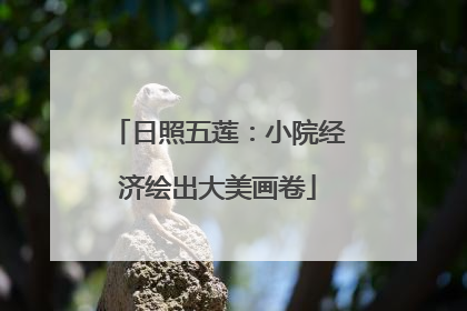 日照五莲：小院经济绘出大美画卷