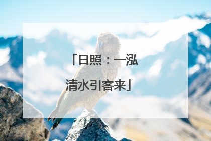 日照：一泓清水引客来