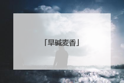 旱碱麦香
