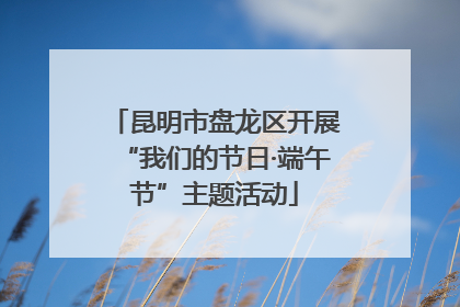 昆明市盘龙区开展“我们的节日·端午节”主题活动
