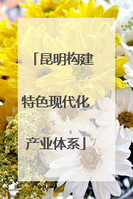 昆明构建特色现代化产业体系