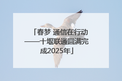 春梦 通信在行动——十堰联通圆满完成2025年