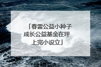 春雷公益小种子成长公益基金在坪上完小设立