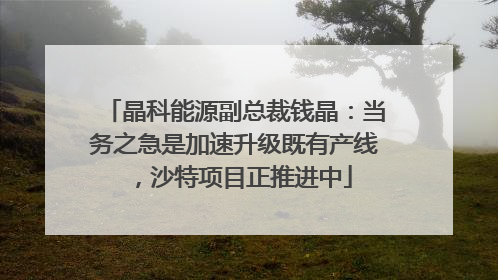 晶科能源副总裁钱晶：当务之急是加速升级既有产线，沙特项目正推进中