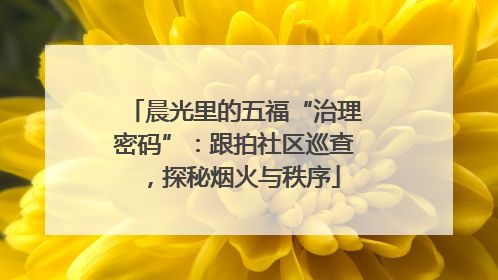 晨光里的五福“治理密码”：跟拍社区巡查，探秘烟火与秩序