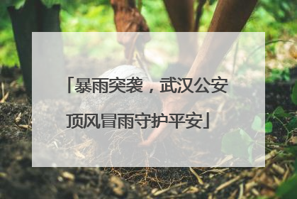 暴雨突袭，武汉公安顶风冒雨守护平安