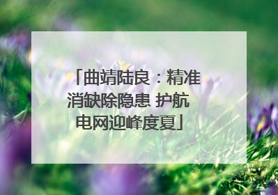 曲靖陆良：精准消缺除隐患 护航电网迎峰度夏