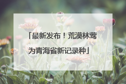 最新发布！荒漠林莺为青海省新记录种