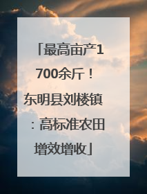 最高亩产1700余斤！东明县刘楼镇：高标准农田增效增收