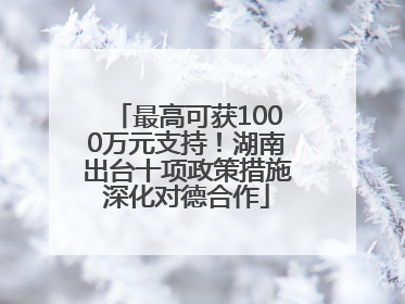 最高可获1000万元支持！湖南出台十项政策措施深化对德合作