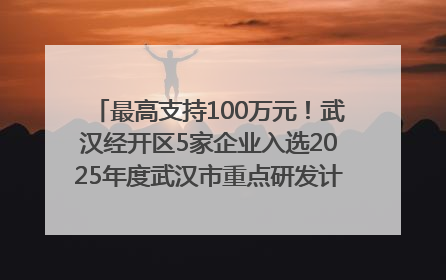 最高支持100万元！武汉经开区5家企业入选2025年度武汉市重点研发计划拟立项项目名单