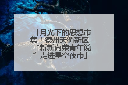 月光下的思想市集！德州天衢新区“新新向荣青年说”走进星空夜市