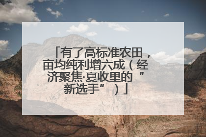 有了高标准农田，亩均纯利增六成（经济聚焦·夏收里的“新选手”）