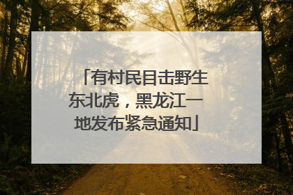 有村民目击野生东北虎，黑龙江一地发布紧急通知