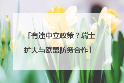有违中立政策？瑞士扩大与欧盟防务合作