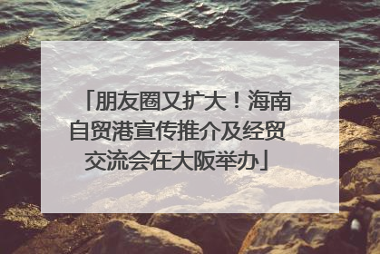 朋友圈又扩大！海南自贸港宣传推介及经贸交流会在大阪举办