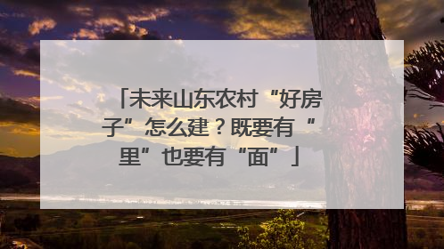 未来山东农村“好房子”怎么建？既要有“里”也要有“面”