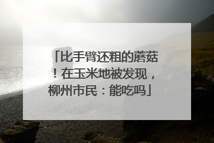 比手臂还粗的蘑菇！在玉米地被发现，柳州市民：能吃吗