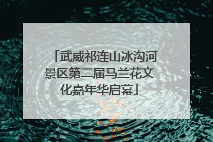武威祁连山冰沟河景区第二届马兰花文化嘉年华启幕