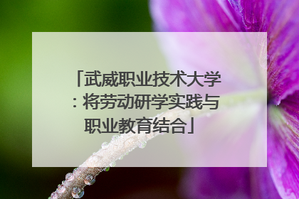 武威职业技术大学：将劳动研学实践与职业教育结合