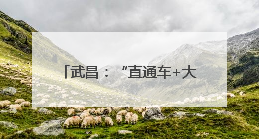 武昌：“直通车+大篷车”开进文创楼宇 双车并进惠企便民