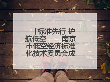 标准先行 护航低空——南京市低空经济标准化技术委员会成立大会召开