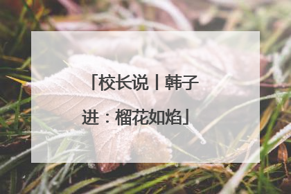 校长说丨韩子进：榴花如焰