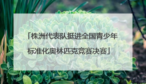 株洲代表队挺进全国青少年标准化奥林匹克竞赛决赛