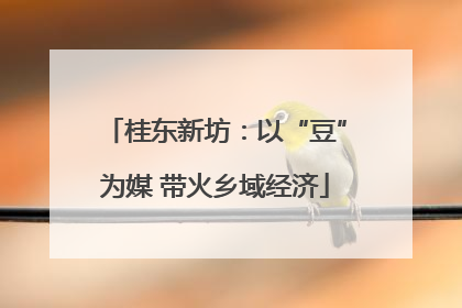 桂东新坊：以“豆”为媒 带火乡域经济