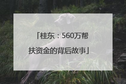 桂东：560万帮扶资金的背后故事