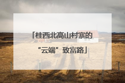 桂西北高山村寨的“云端”致富路