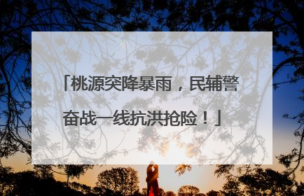 桃源突降暴雨，民辅警奋战一线抗洪抢险！
