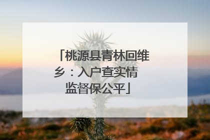 桃源县青林回维乡：入户查实情 监督保公平