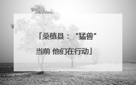 桑植县：“猛兽”当前 他们在行动