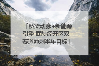 桥梁动脉+新能源引擎 武陟经开区双赛道冲刺半年目标