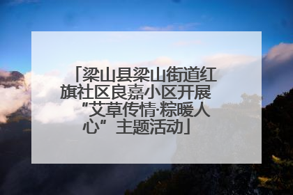 梁山县梁山街道红旗社区良嘉小区开展“艾草传情·粽暖人心”主题活动