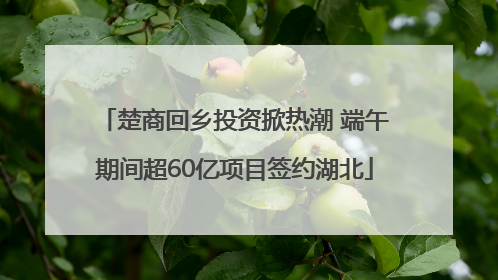 楚商回乡投资掀热潮 端午期间超60亿项目签约湖北