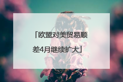 欧盟对美贸易顺差4月继续扩大