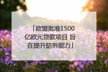 欧盟批准1500亿欧元贷款项目 旨在提升防务能力